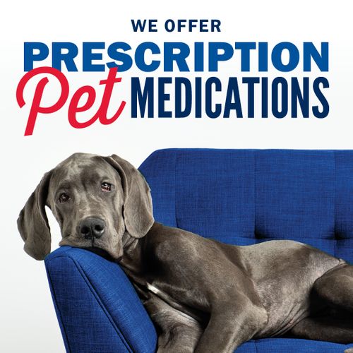 Prescription Pet Medication - Sullivan Pharmacy | Your Local Bacliff ...